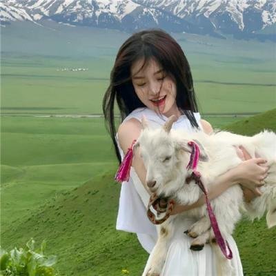 坑爹游戏