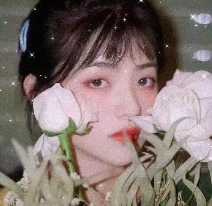 森林战士